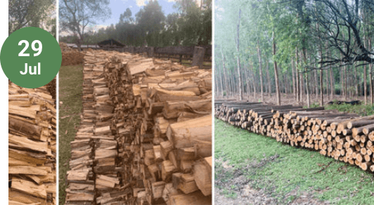 Eine weitere Holzernte